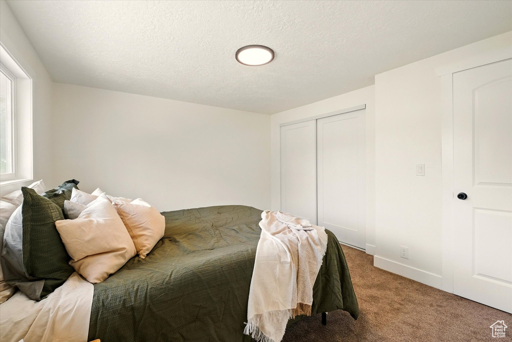 Bedroom featuring carpet, a textured ceiling, a closet, and baseboards