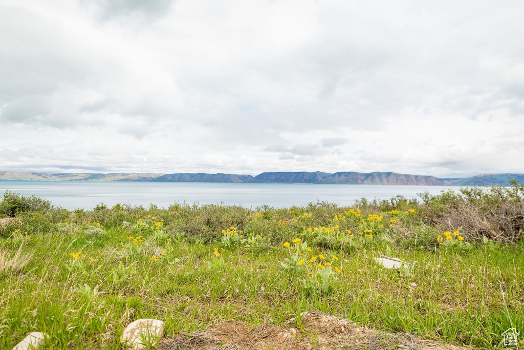 Water view featuring a mountainous background