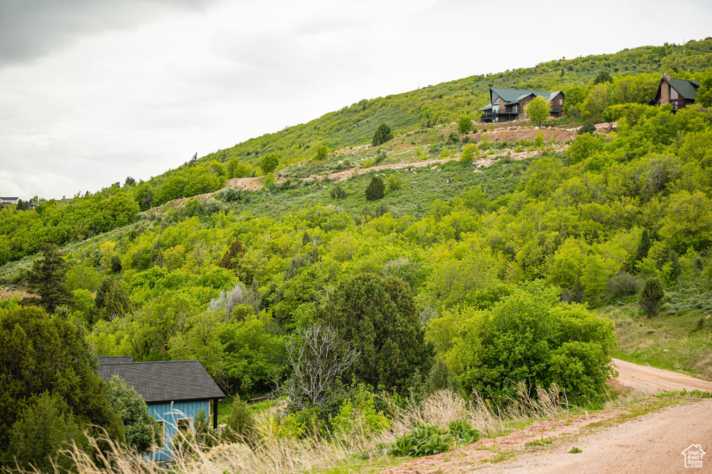 View of mountain background with a forest