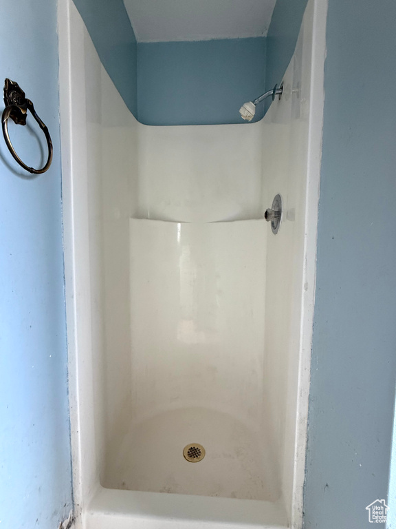 Full bathroom with a shower
