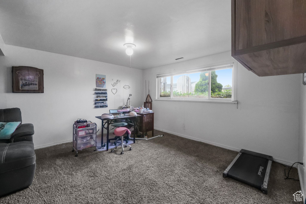 Carpeted home office with baseboards