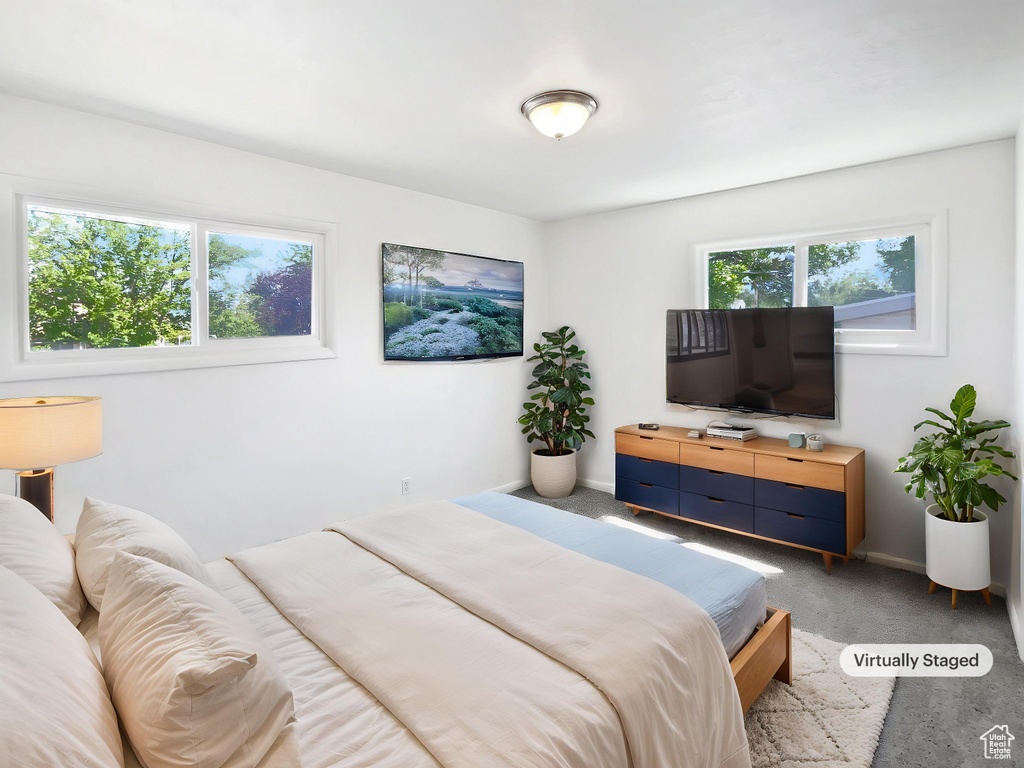 Bedroom featuring multiple windows, carpet flooring, and baseboards