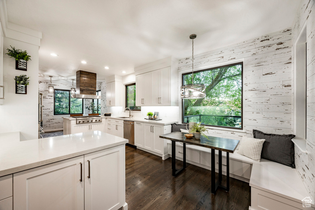 Kitchen featuring stainless steel appliances, white cabinetry, dark wood-type flooring, a sink, and light countertops