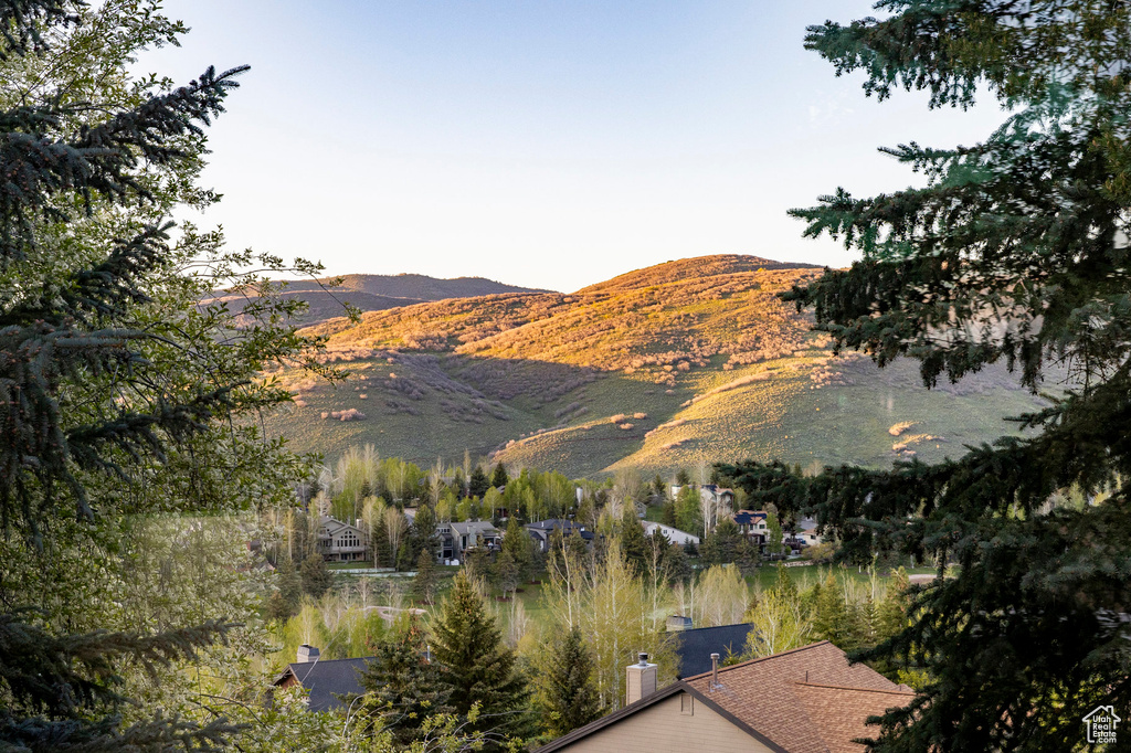 Mountain view