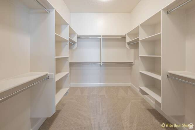 Spacious closet featuring carpet flooring