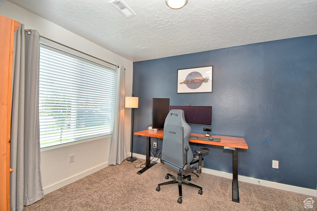 Office area featuring carpet floors, a textured ceiling, and baseboards