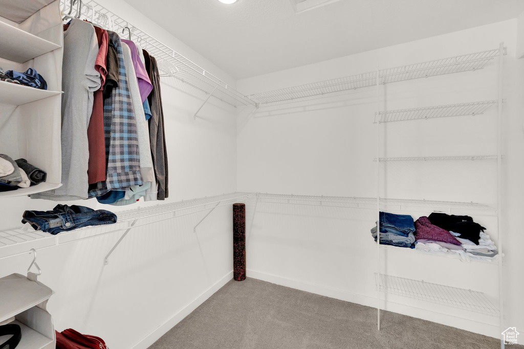 Walk in closet featuring carpet flooring