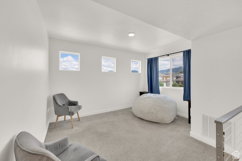 Sitting room with carpet and baseboards
