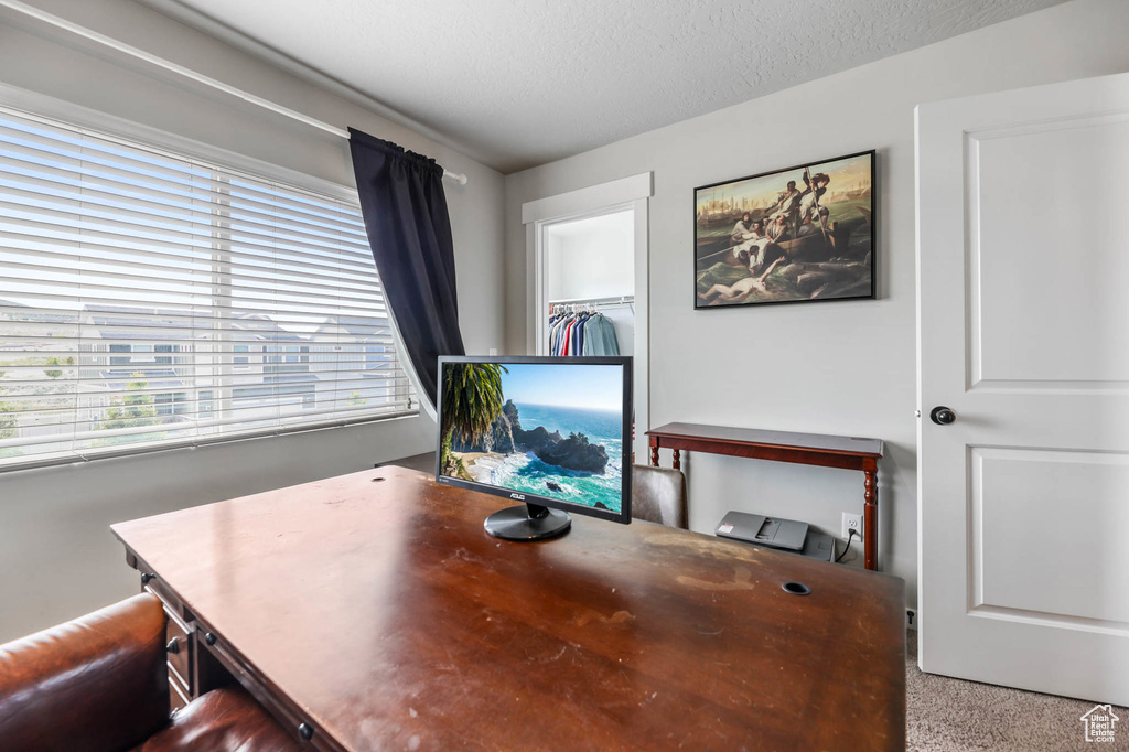 Carpeted office featuring a textured ceiling