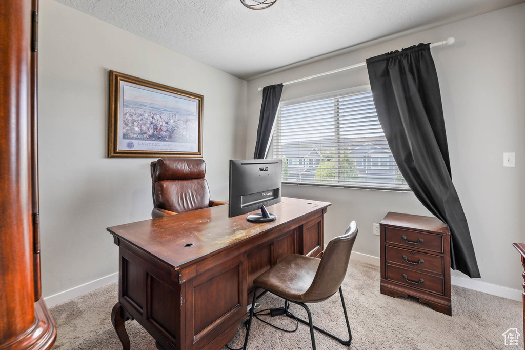 Office featuring baseboards, light carpet, and a textured ceiling