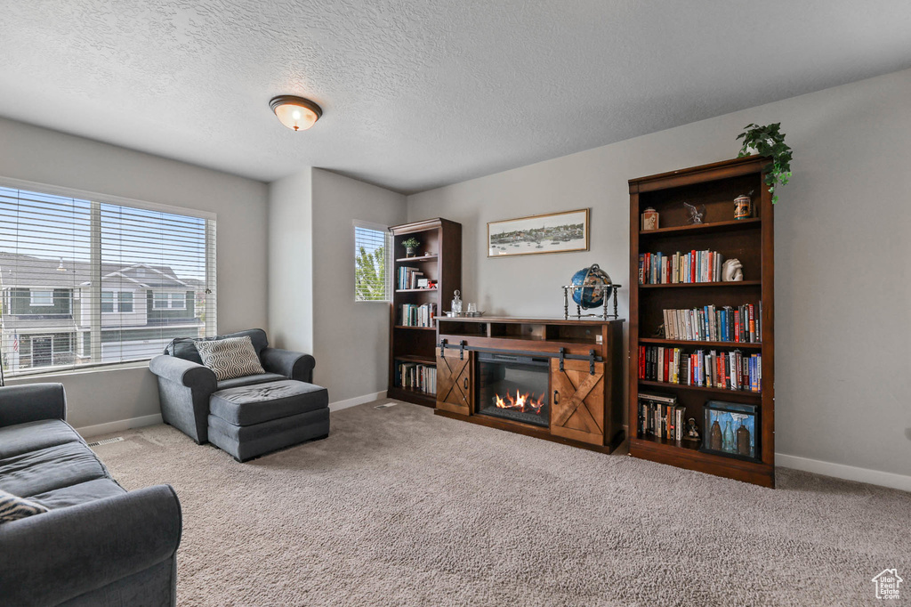 Living room with baseboards, carpet, a textured ceiling, and a glass covered fireplace