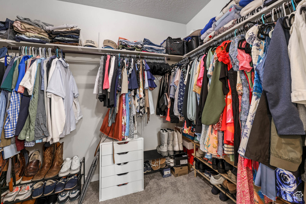 Spacious closet with carpet floors