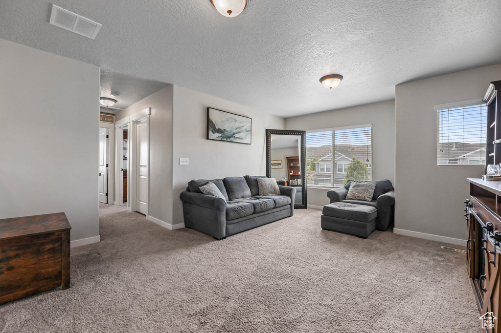 Living room with carpet floors, a textured ceiling, and baseboards