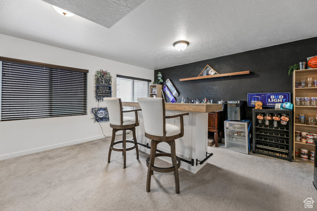 Indoor dry bar with a textured ceiling, light carpet, and baseboards