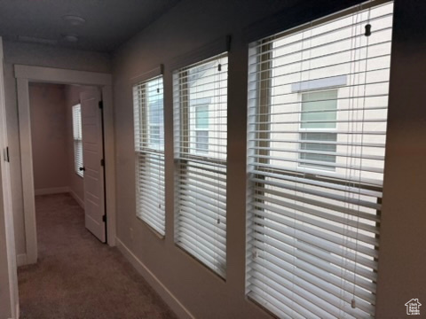Hall with baseboards, carpet flooring, and plenty of natural light