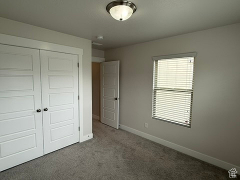 Unfurnished bedroom featuring carpet floors, a closet, and baseboards
