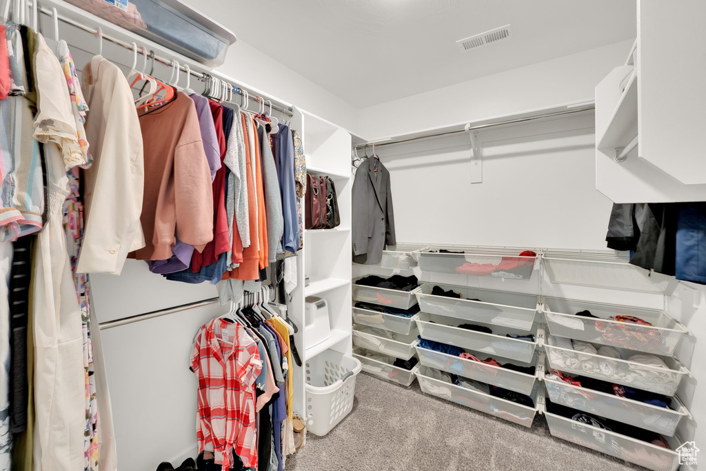 Spacious closet with carpet