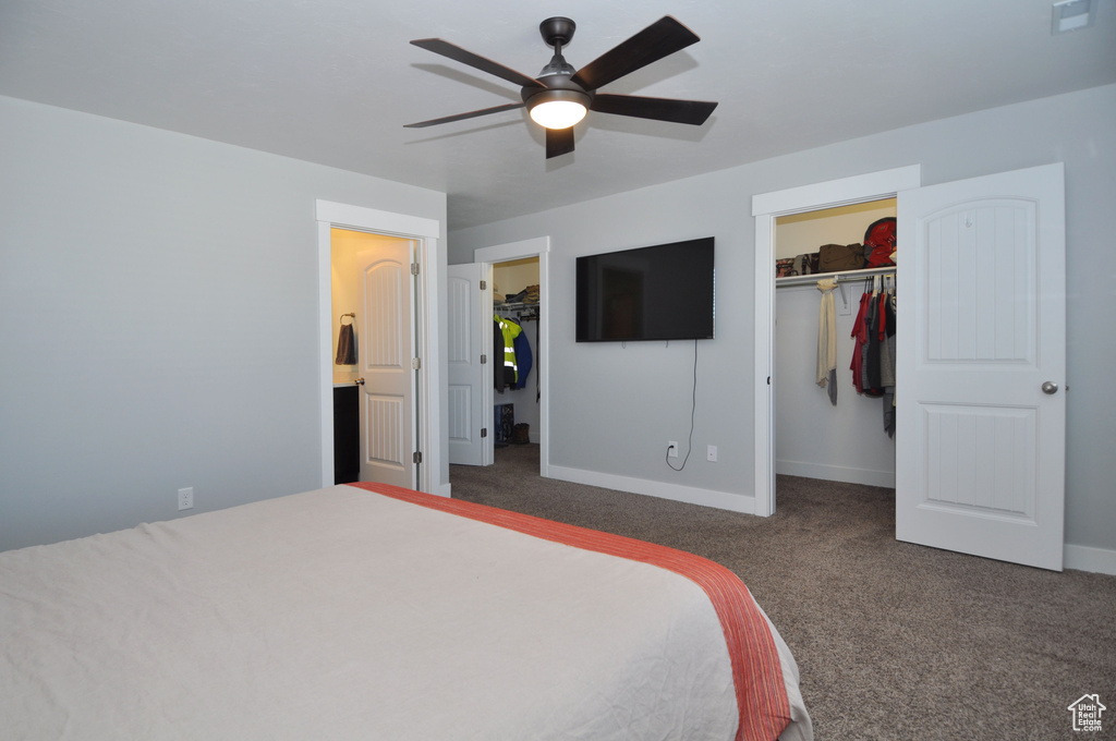 Carpeted bedroom featuring a spacious closet, baseboards, a closet, and a ceiling fan