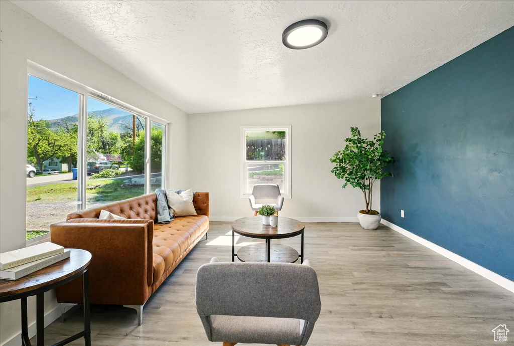 Living area featuring plenty of natural light, light wood finished floors, a textured ceiling, and baseboards