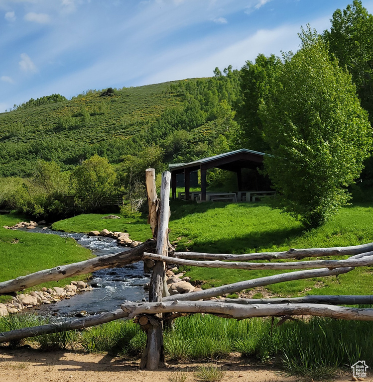 View of home\'s community with a forest view