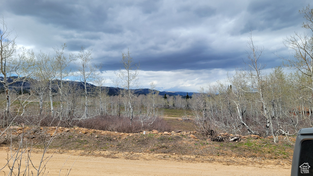 View of mountain backdrop