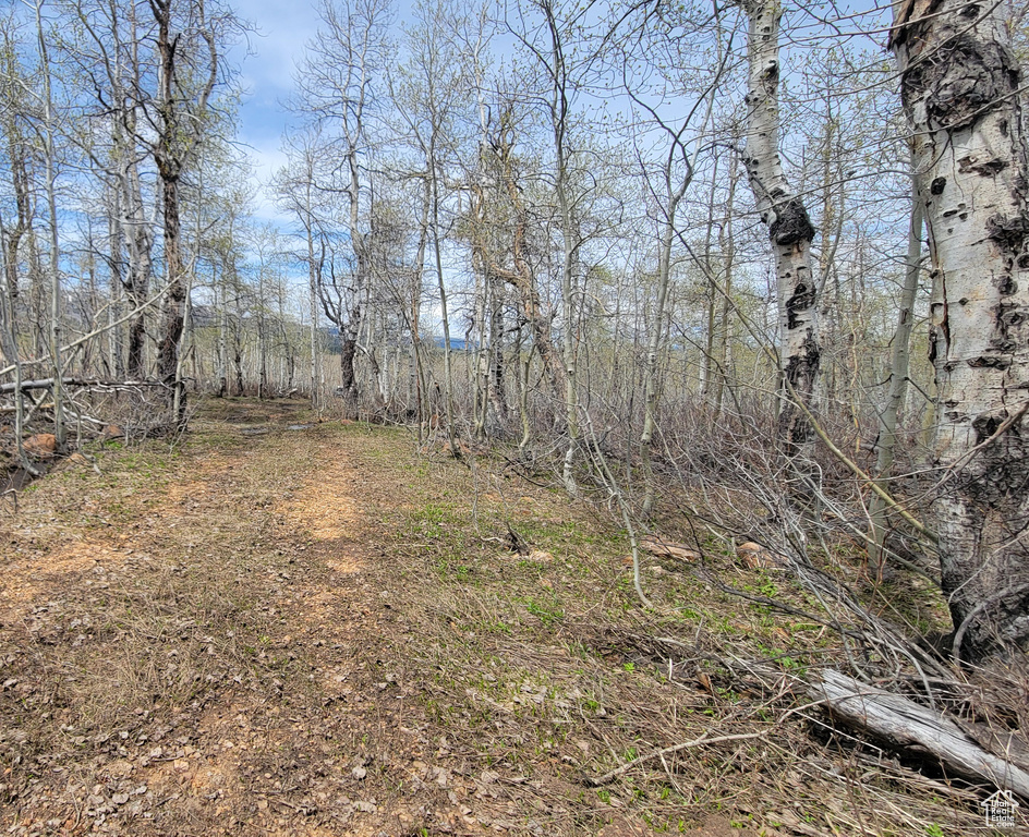 View of undeveloped land