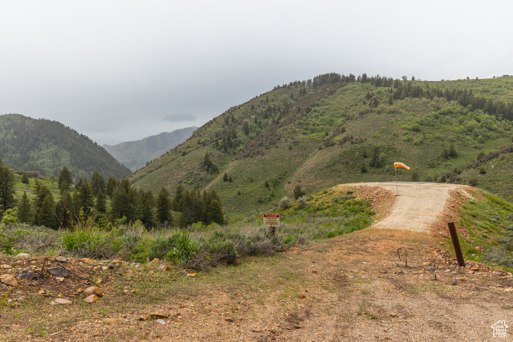 Mountain view