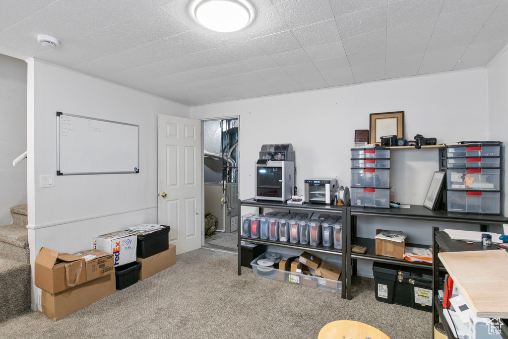 Office space featuring carpet floors