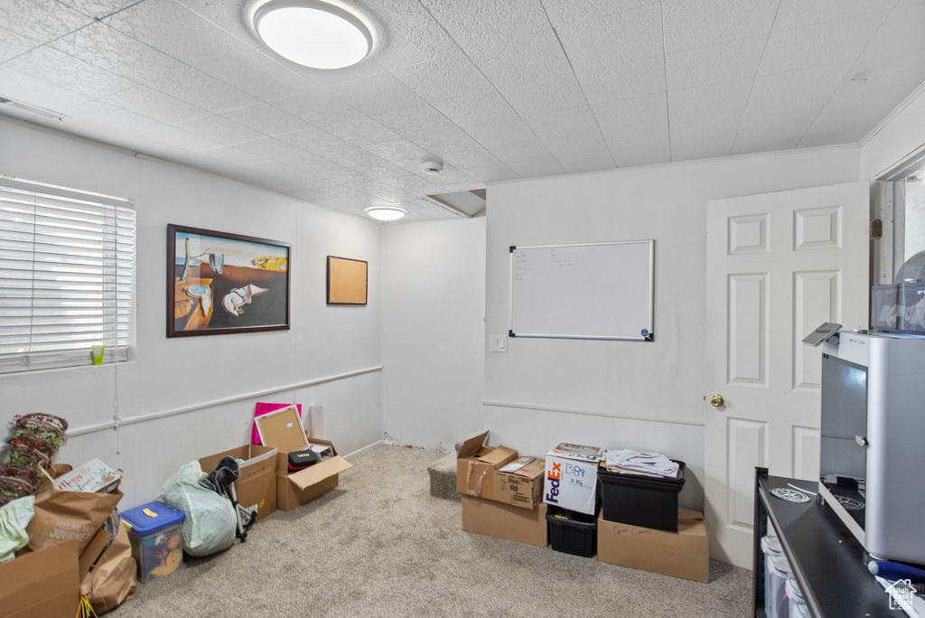 Playroom featuring carpet