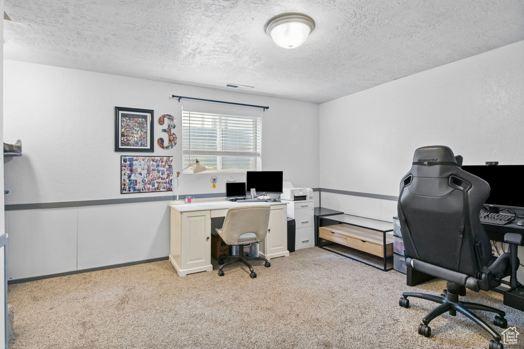 Office area featuring a textured ceiling and light colored carpet