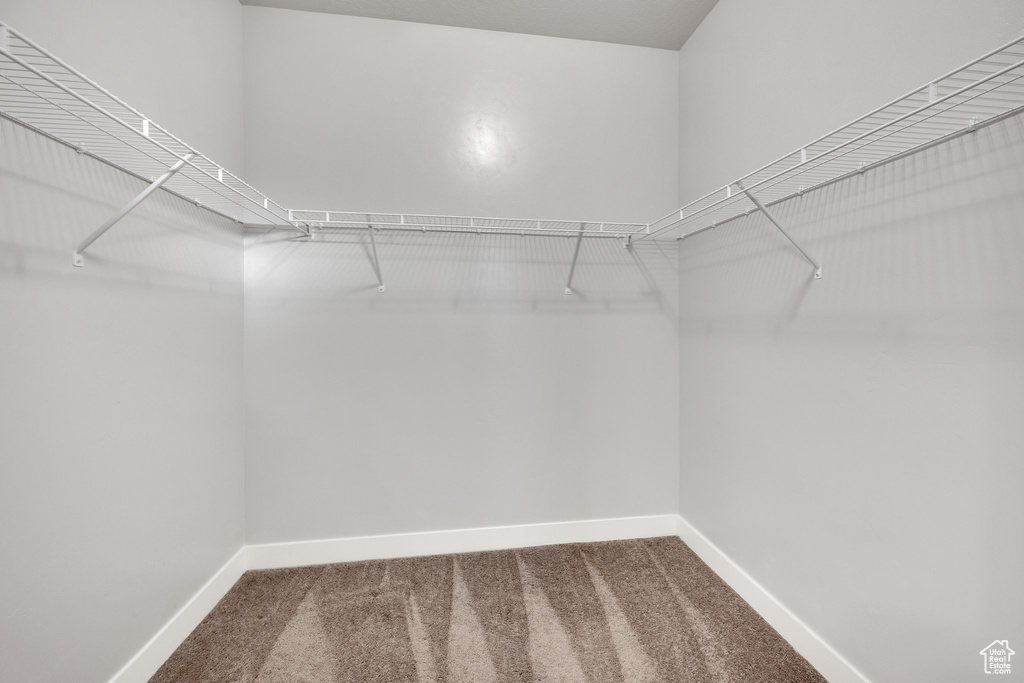 Walk in closet with carpet floors