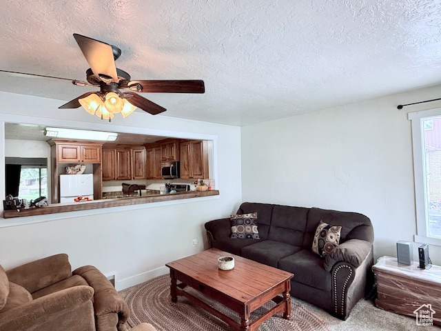 Living area featuring a textured ceiling, ceiling fan, healthy amount of natural light, and carpet flooring
