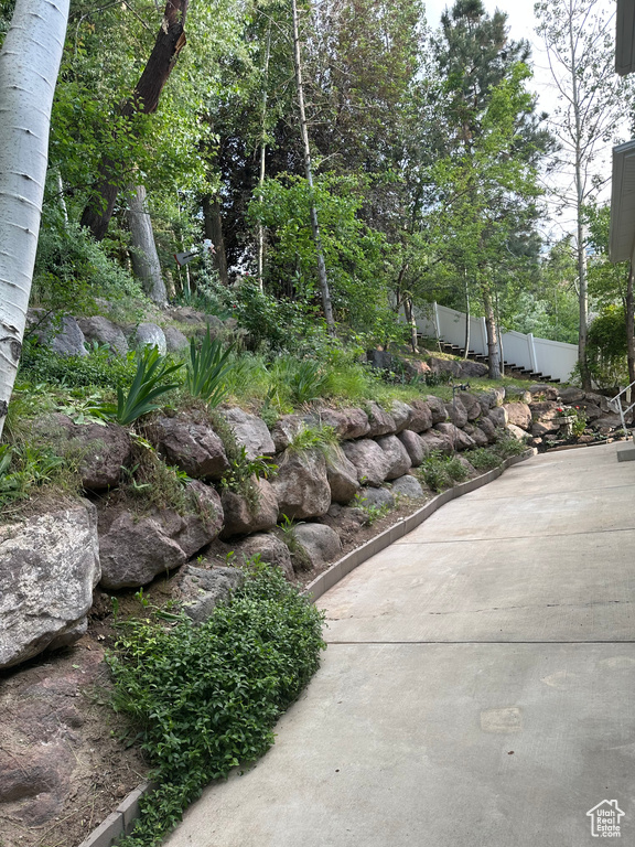 View of yard featuring a patio