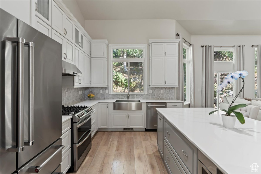 Kitchen featuring appliances with stainless steel finishes, a sink, under cabinet range hood, light wood-style flooring, and light countertops