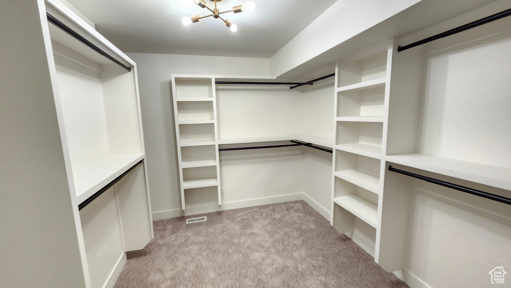 Spacious closet featuring light carpet