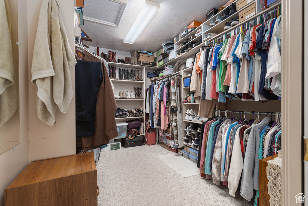 Walk in closet featuring carpet and attic access