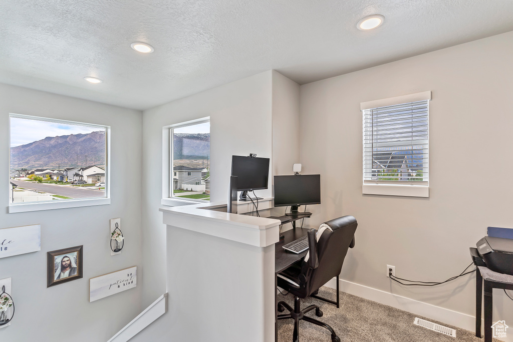 Office space featuring carpet floors, baseboards, recessed lighting, a textured ceiling, and a mountain view