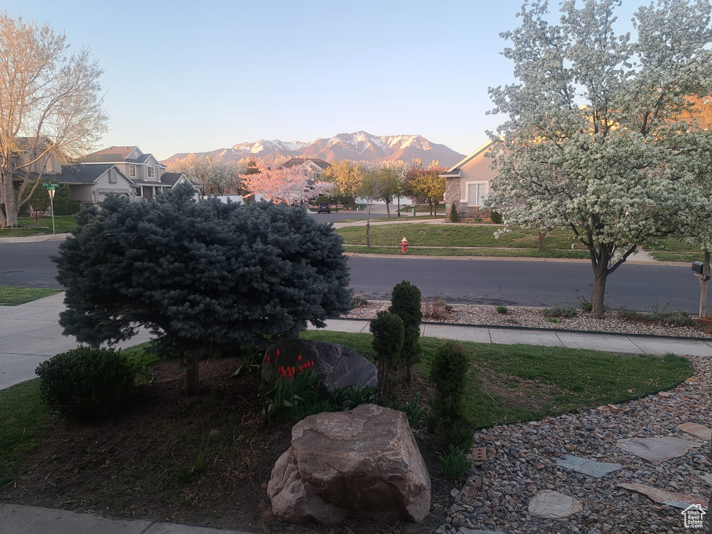 View of yard with a mountain view