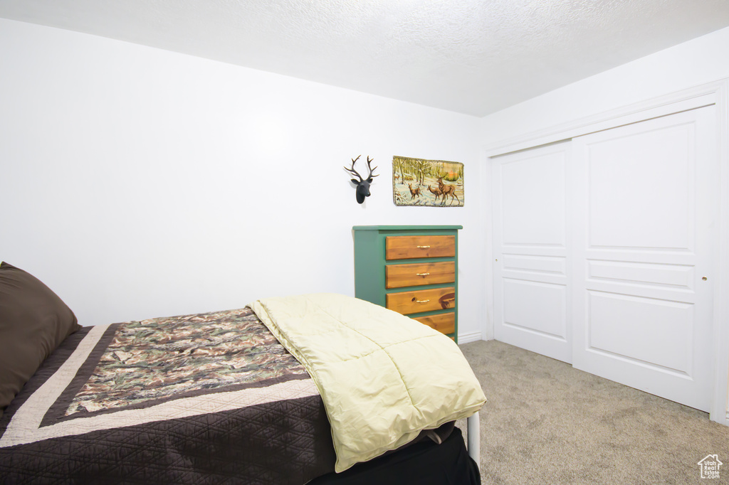 Carpeted bedroom featuring a closet