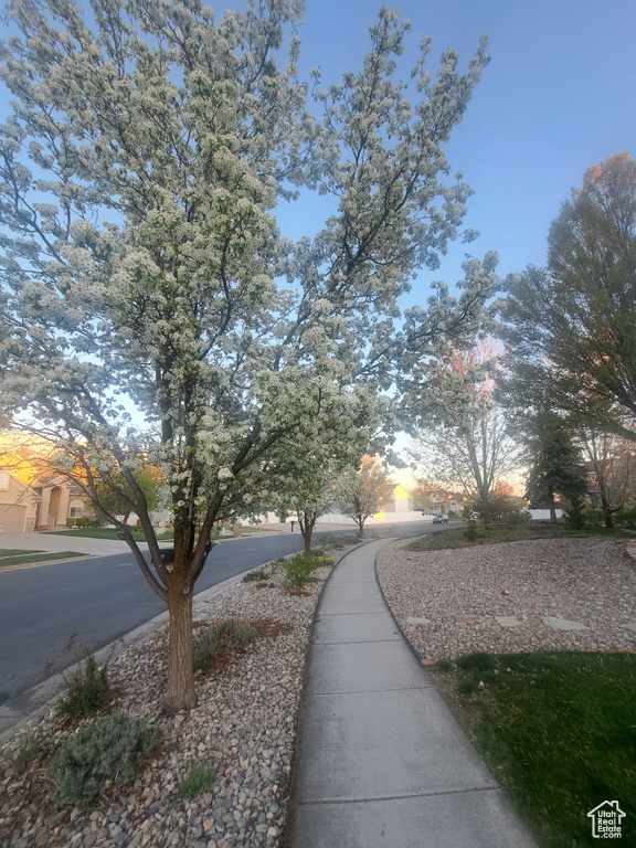 View of home\\\\\\\'s community