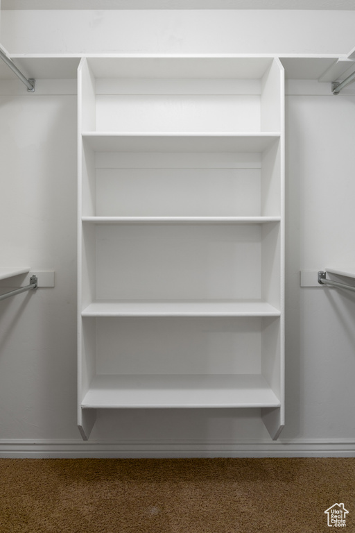Walk in closet featuring carpet floors
