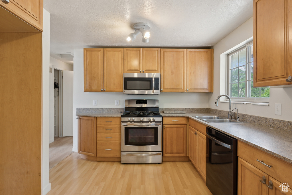 Kitchen featuring stainless steel appliances, a sink, light wood-style flooring, a textured ceiling, and light countertops