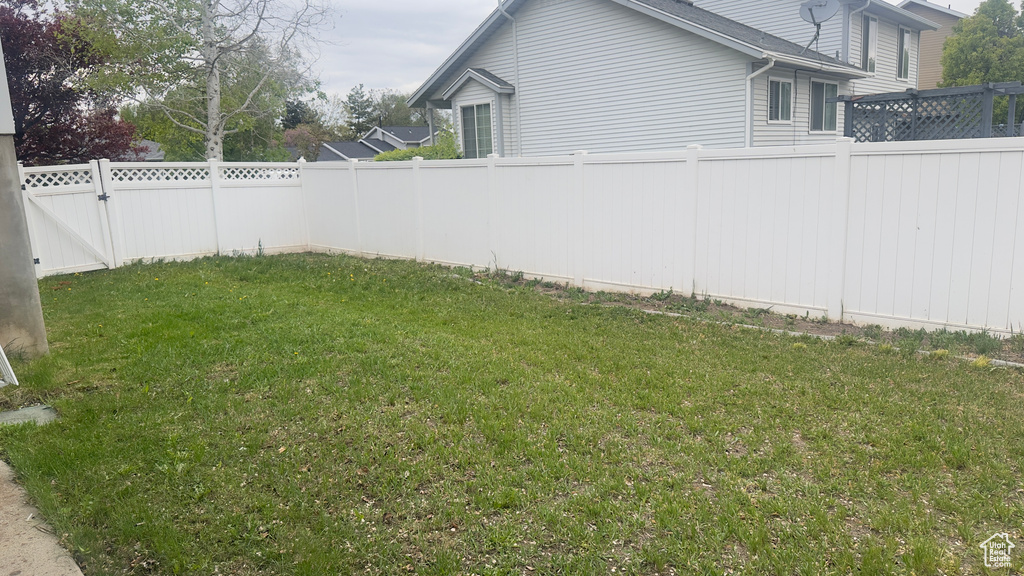 View of yard