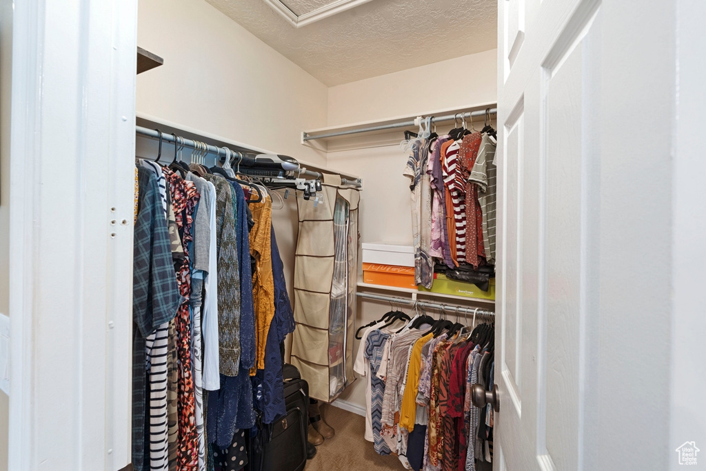 Spacious closet with carpet