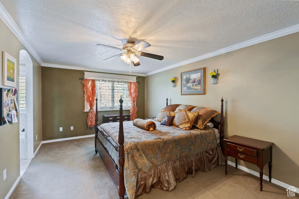 Carpeted bedroom featuring a textured ceiling, ornamental molding, baseboards, and ceiling fan