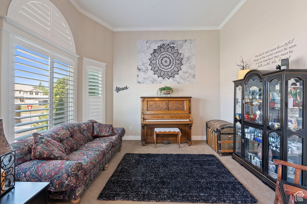 Living room with carpet flooring, crown molding, and baseboards
