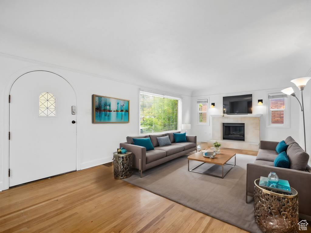 Living room featuring wood finished floors, a glass covered fireplace, and healthy amount of natural light