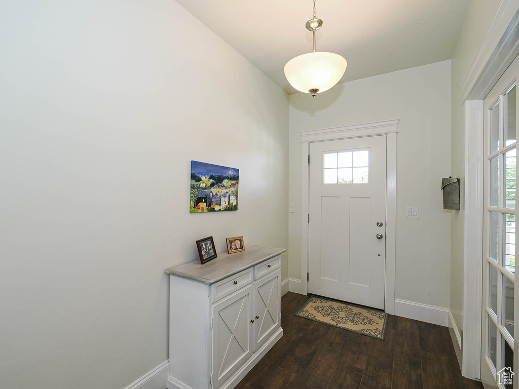 Foyer entrance with dark wood-style floors, baseboards, and plenty of natural light