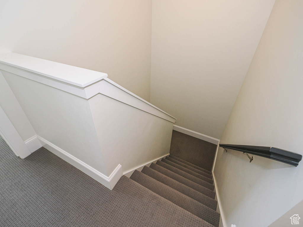Stairway featuring carpet floors