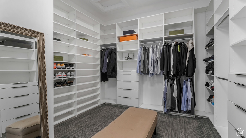 Walk in closet with attic access and dark colored carpet